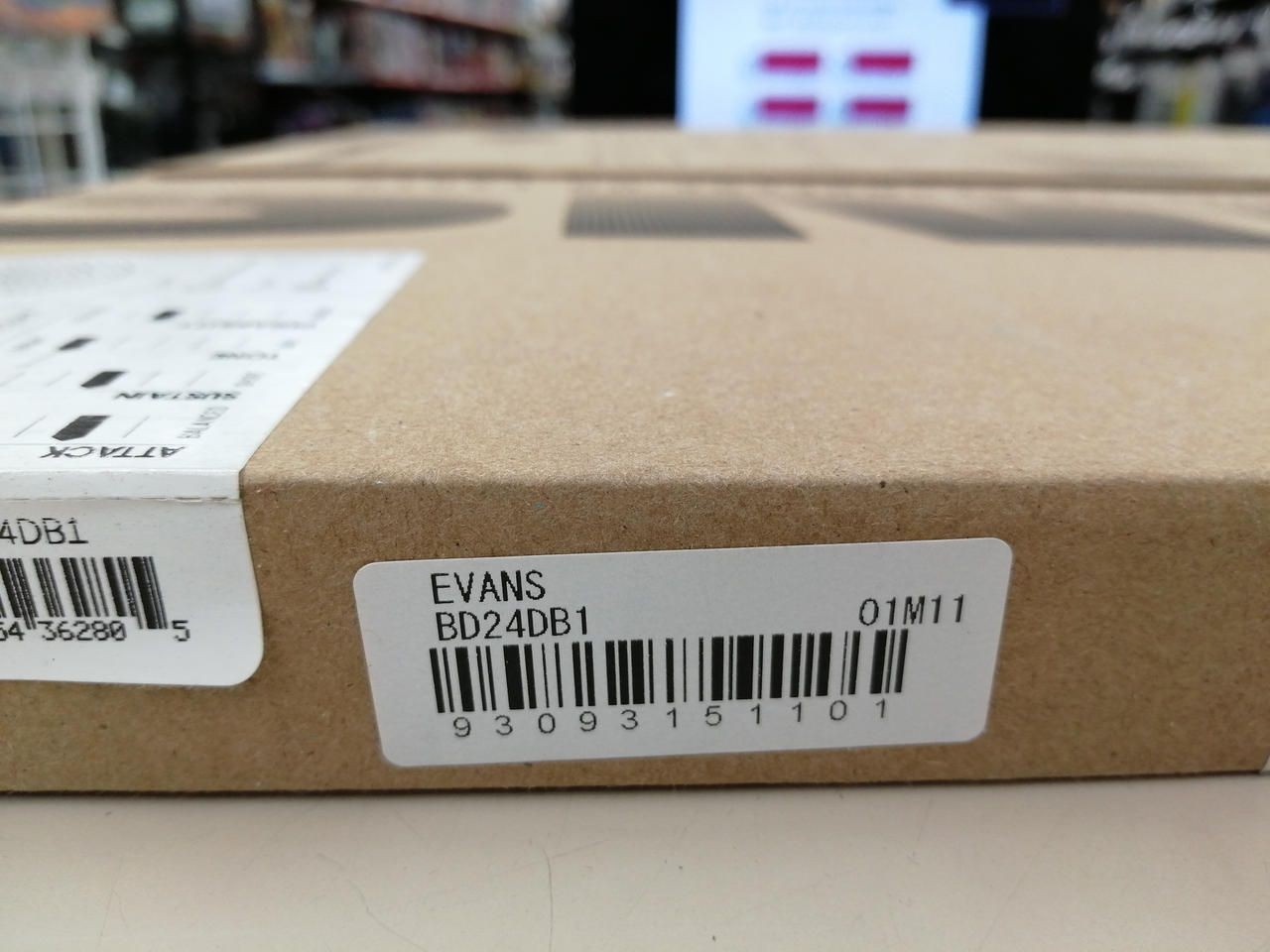 EVANS ☆about 80% Volume Reduction☆BD24DB1 Used