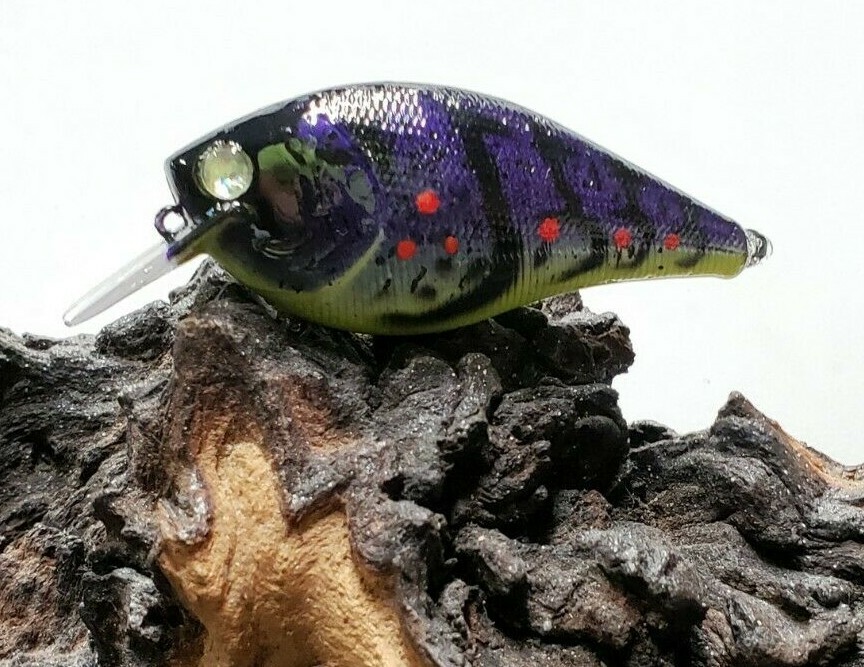 Custom painted 2.5 square bill crankbait (CRAW)