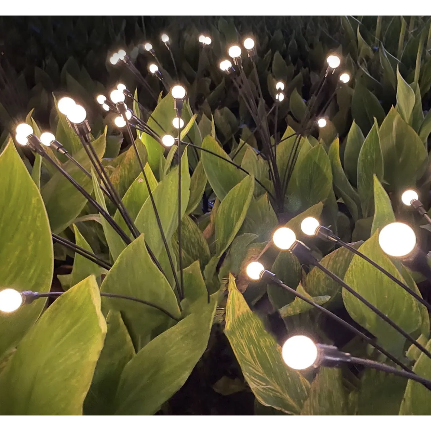 Drip Depot Solar Firefly Garden Lights