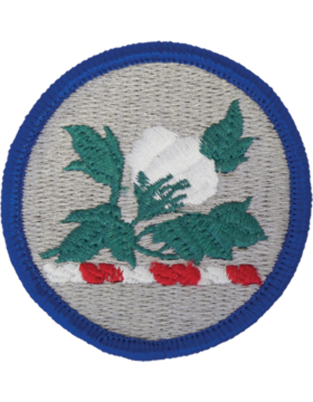 Alabama National Guard Patch