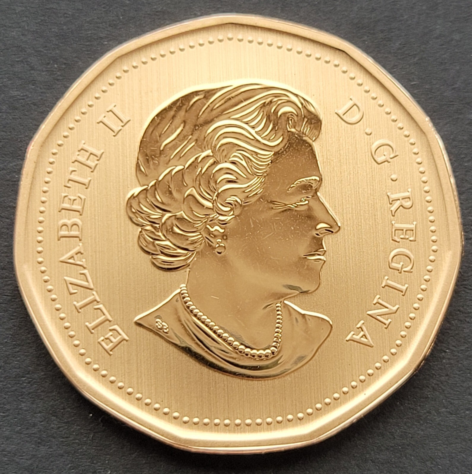 ***CANADA LOONIE 2014 *** SPECIMEN *** FERRUGINOUS HAWK ***