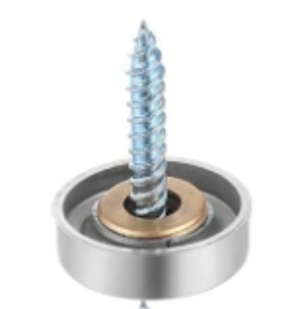 1 P Stainless Steel Screw Cover Cap, USED