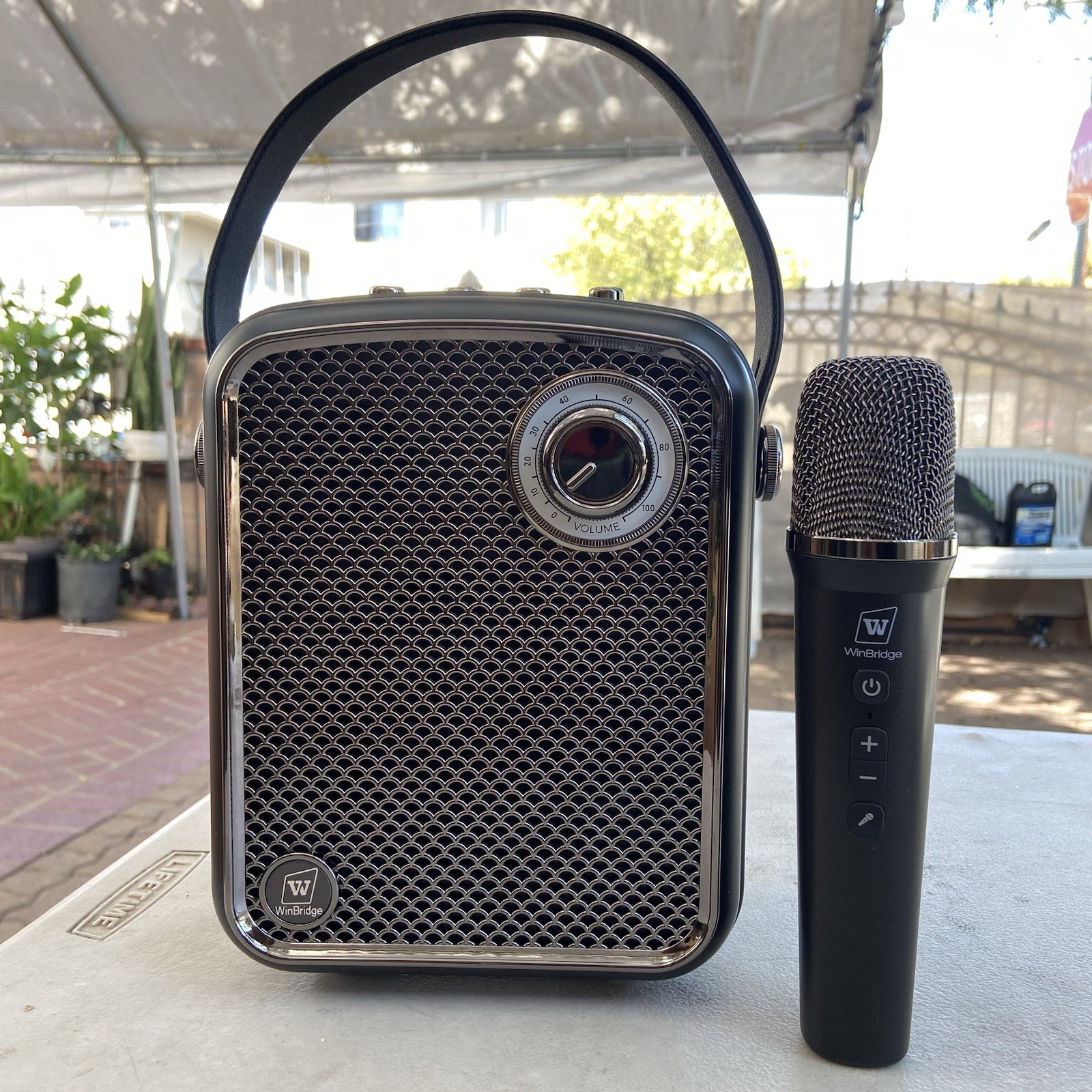 WinBridge S100 70W Voice Amplifier and Speaker with Mic, Bluetooth PA System