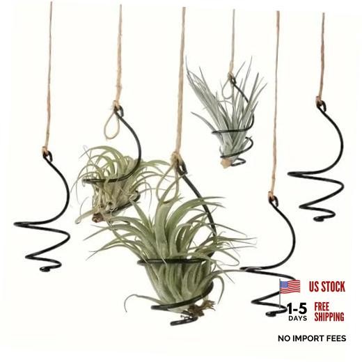 6 pcs set Hanging Air Plant Holder Air Plant Hanger with Jute Ropes, Soilless