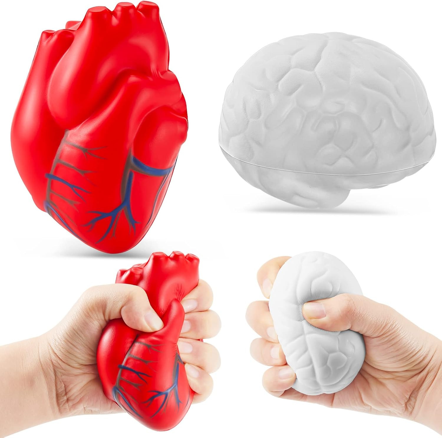 Anatomy Stress Set 2 Pieces Heart with Brain PU Foam Stress Ball Fake Healthcare