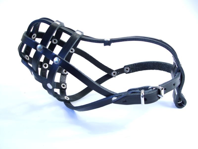 Light Leather dog Muzzle Continental Toy Spaniel Papillon & similar snouts ,3