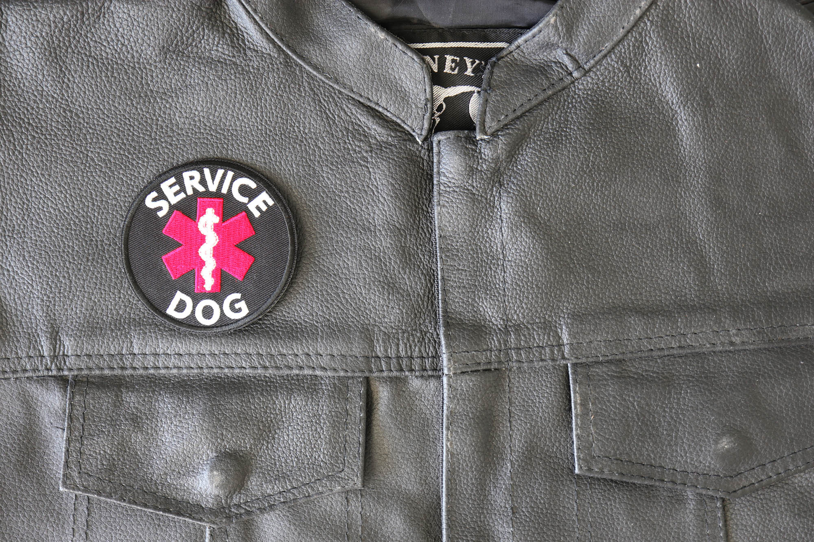 Service Dog Patch - 3x3 inch - P7040