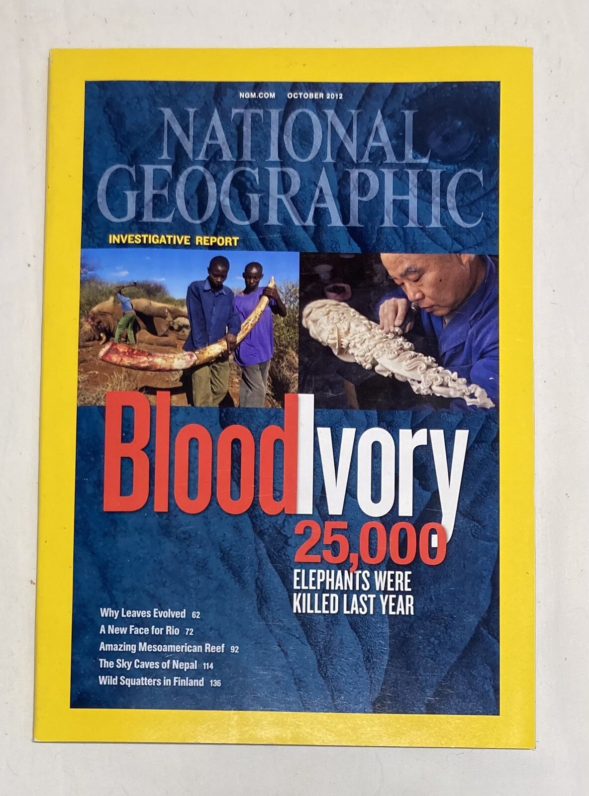 National Geographic Magazine October 2012 - Blood Ivory