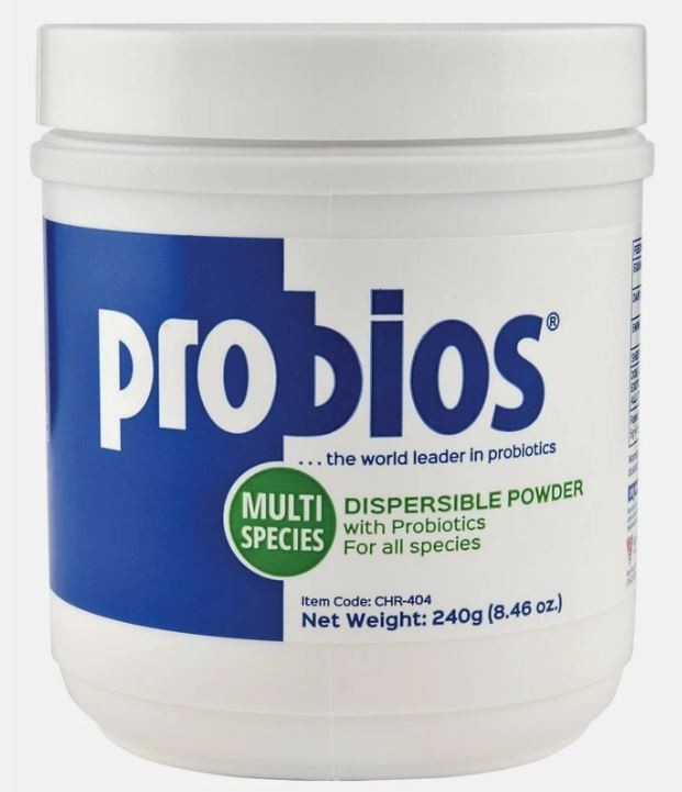 Probios Dispersible Powder all species Horse Equine Dog Cat Cow Gut Supplement