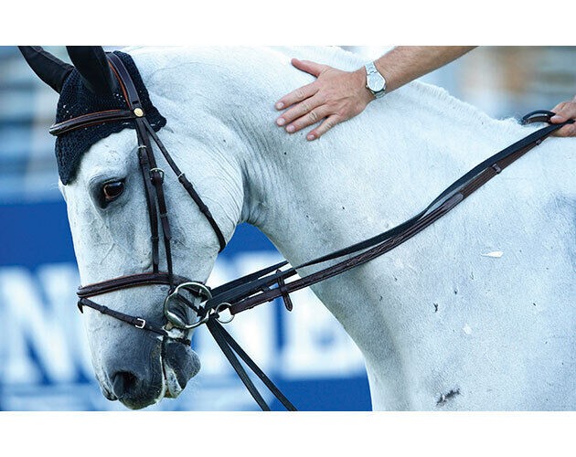 Draw Reins Running Reins Webbing Easy To Hold 2.15Mt X 2Cm For Horse Or Pony