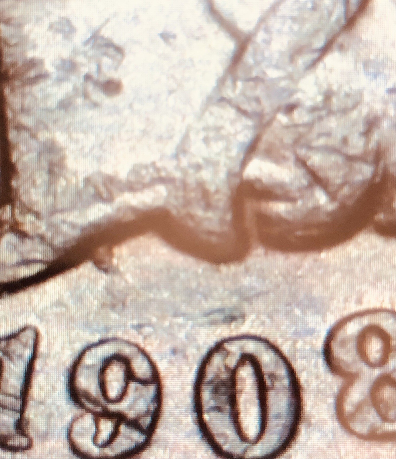 1908-S 1C BN Indian Cent FREE SHIPPIING!