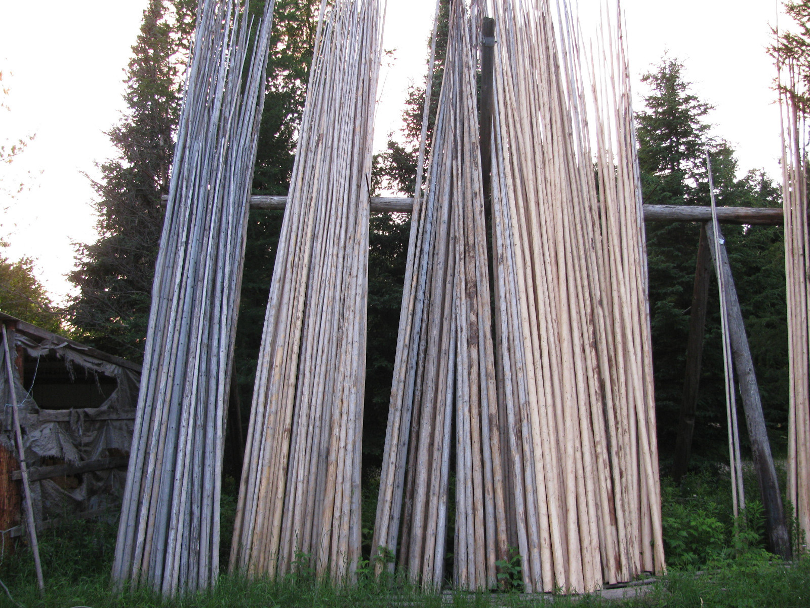 Hand Crafted Tipi Poles Teepee Poles Tepe Poles