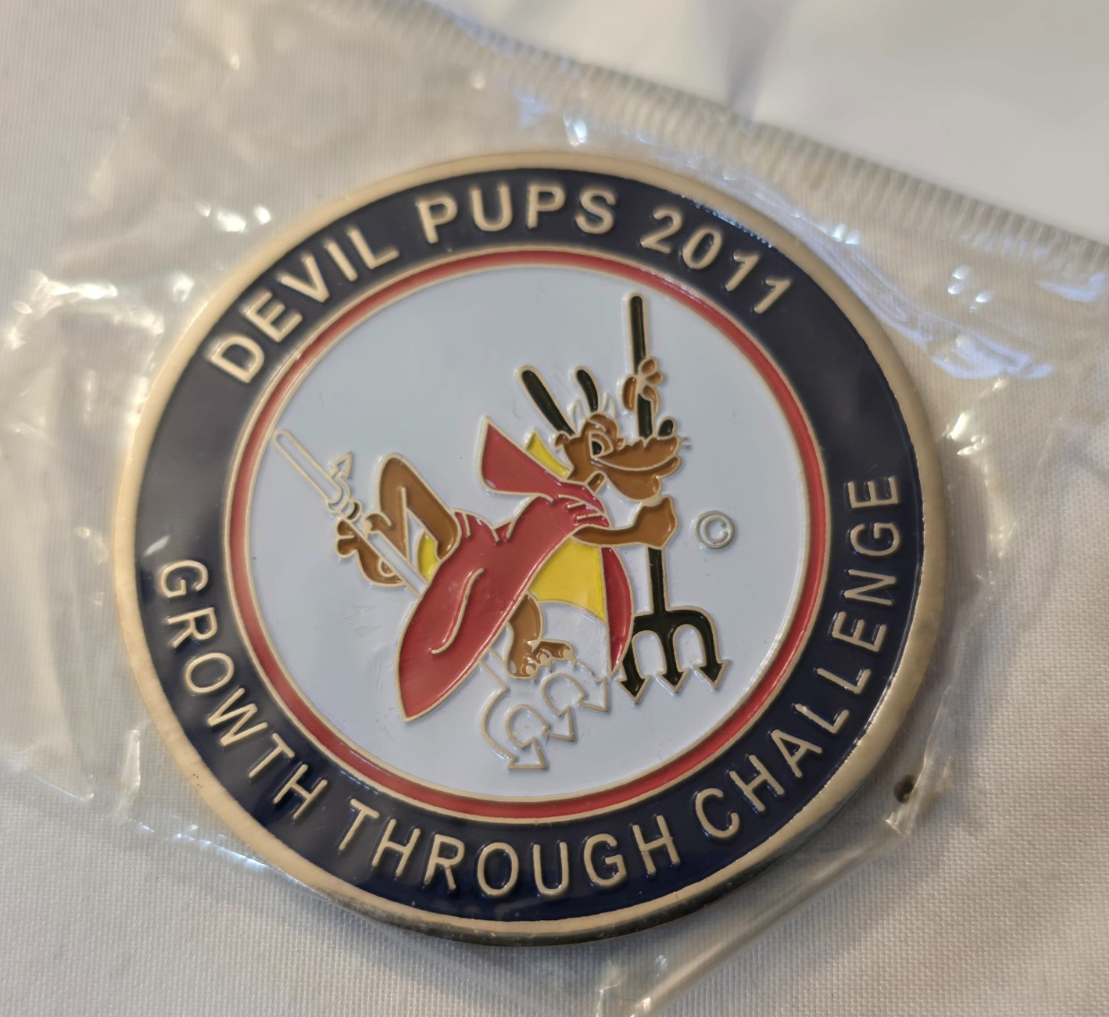 US Marine Corps Camp Pendleton 2011 Devil Pups Challenge Coin / USMC NEW