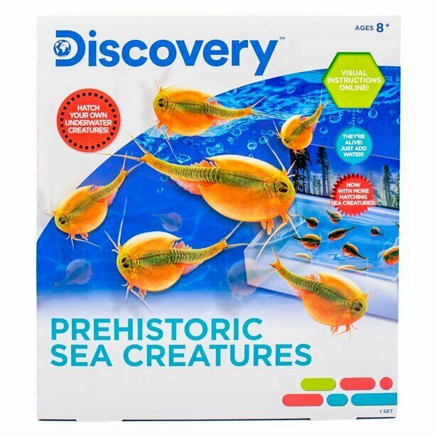 DISCOVERY HATCH YOUR OWN PREHISTORIC SEA CREATURES *DISTRESSED PKG
