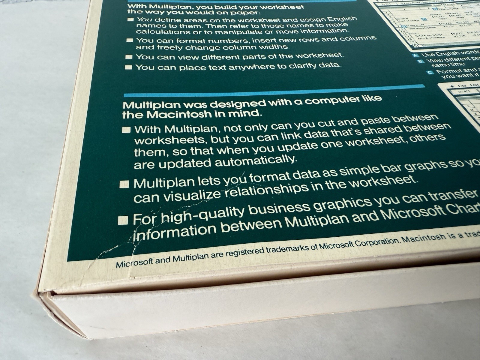 Microsoft MULTIPLAN Electronic Spreadsheet Program Apple Macintosh No Floppy