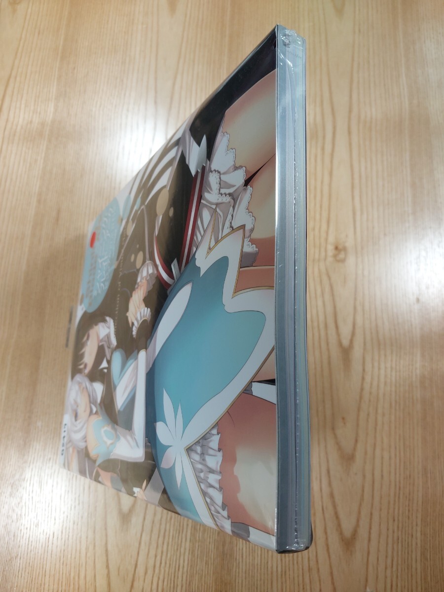Shining Blade Ark Visual Setting Materials Strategy