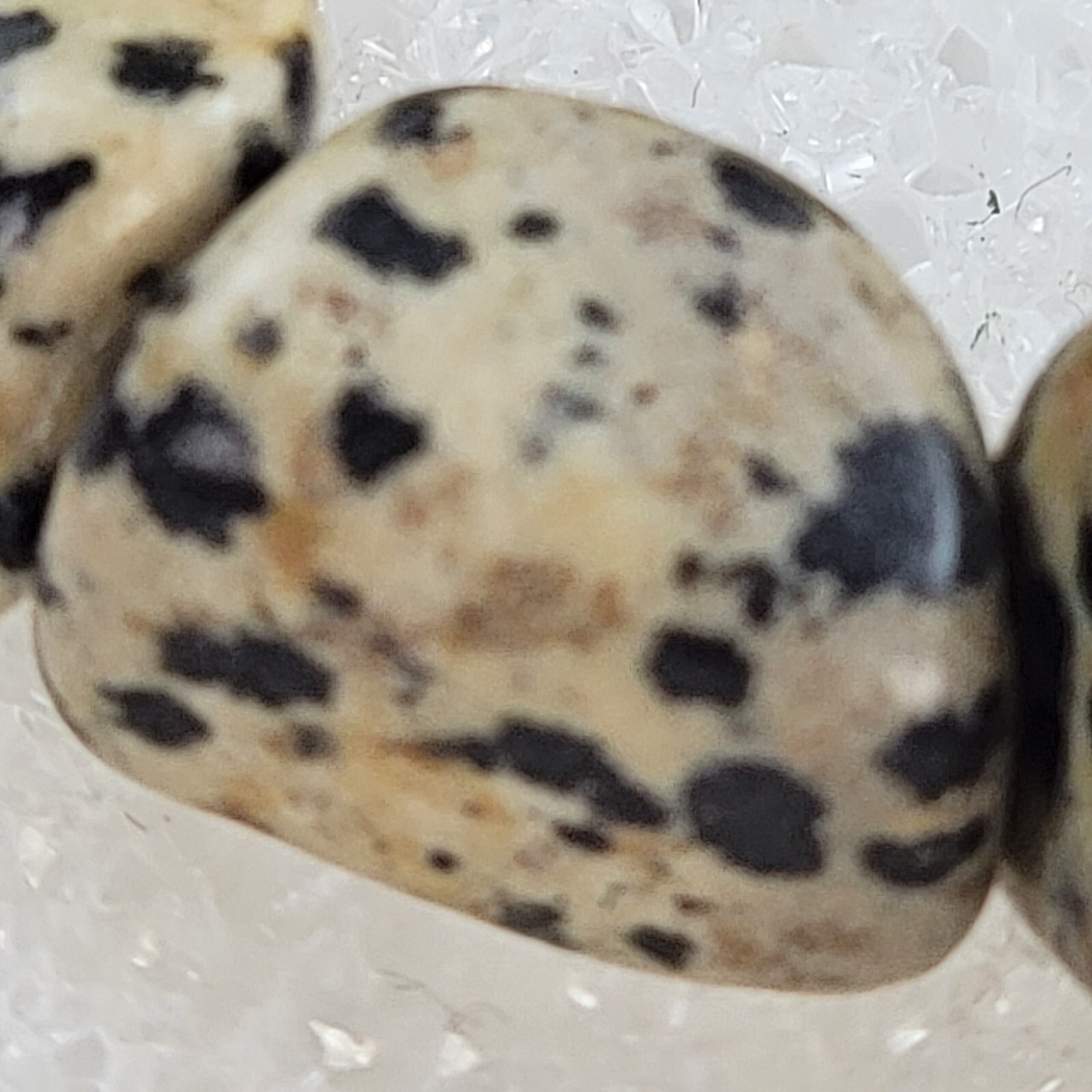 Dalmatian Jasper Beaded Stretch Bracelet 6.5" Sizable