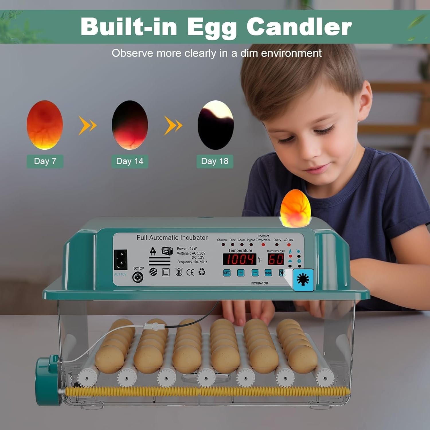 Universal Forced Hatch Automatic 36 Eggs Air Incubator Egg Tray Eggs Machine