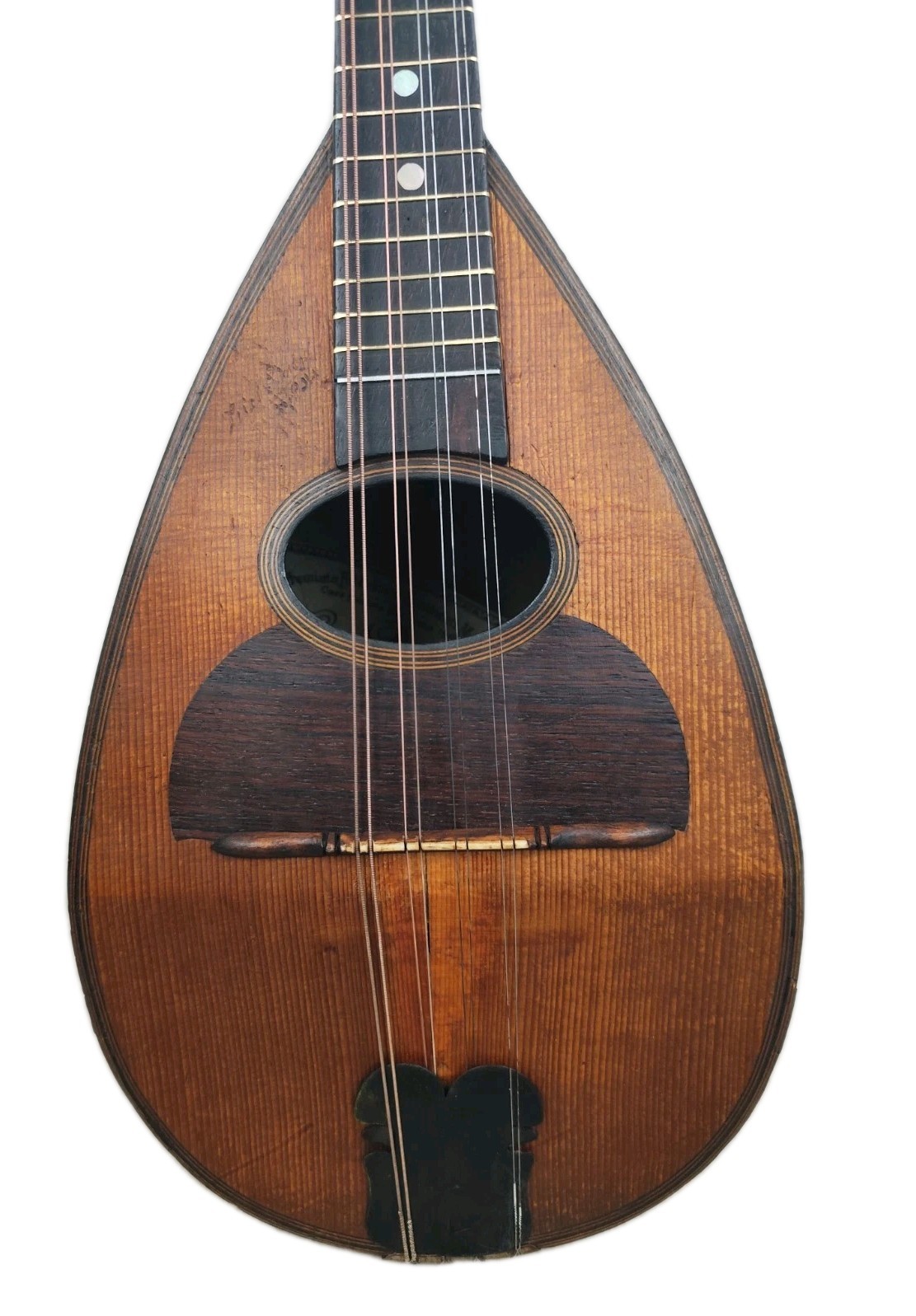 Mandolin 4/4 Luigi Dorigo 1893 Naples 曼陀林 만돌린マンドリン