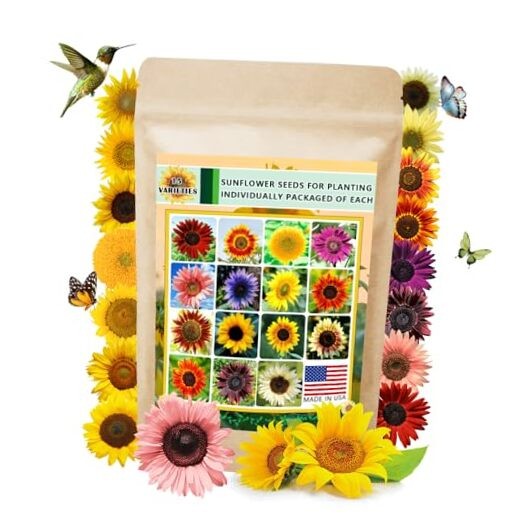 1000+ Sunflower Seeds for Planting Heirloom Non-GMO, Bulk Package of 15