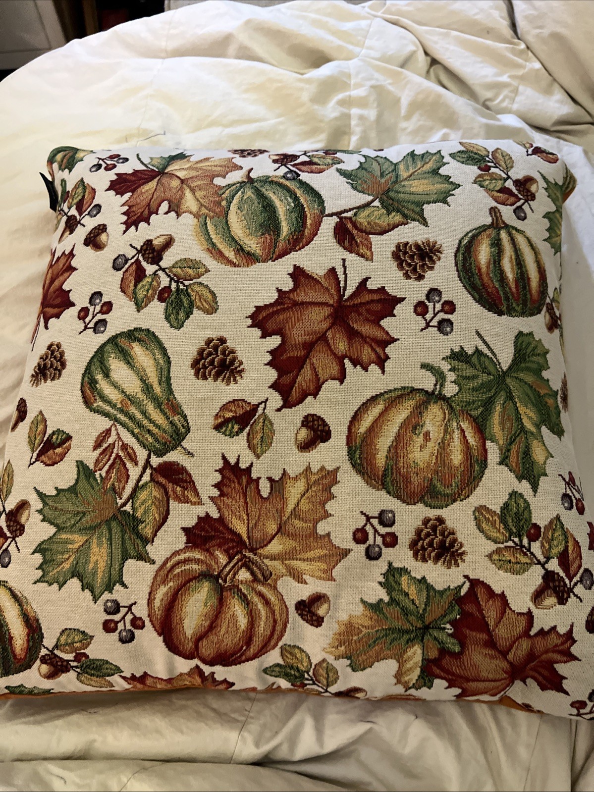 Caldeira Beautiful Fall Pumpkin Gourd Tapestry Pillow 19x19 Velvet Backing EUC