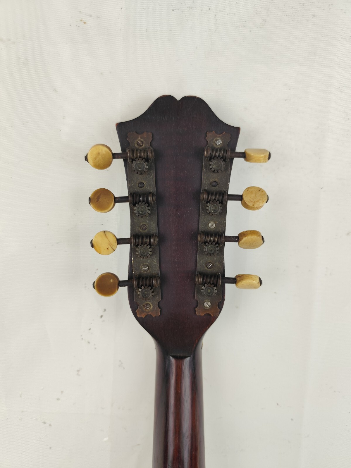 Leonardo Cocchi 1920 Milan 4/4 Mandolin 曼陀林 만돌린マンドリン