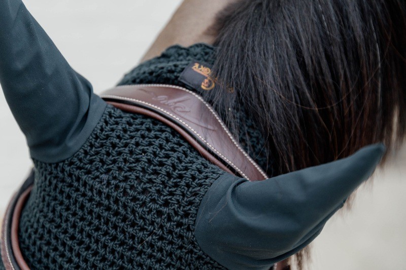 Dion Plaited Combo Bridle