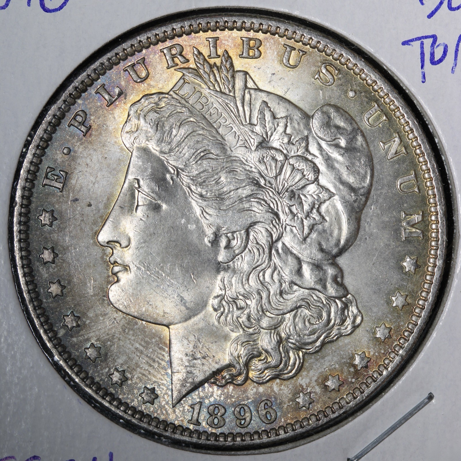 1896 Morgan Silver Dollar BU *UNCIRCULATED* MS TONED E318 TSEH
