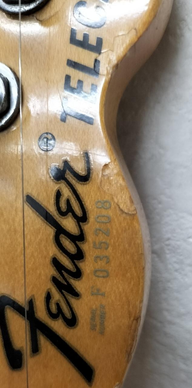 FENDER TL72-55 (NO251005)