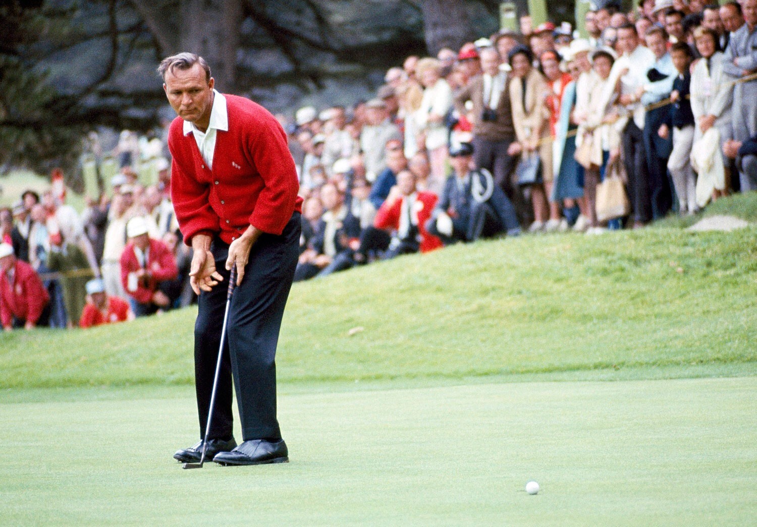 ARNOLD PALMER 8X10 GLOSSY PHOTO IMAGE #8