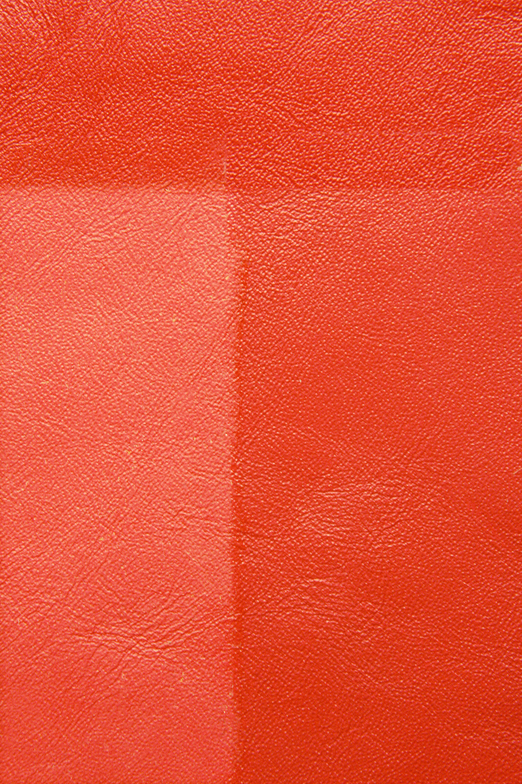 Voigt Leather Shield