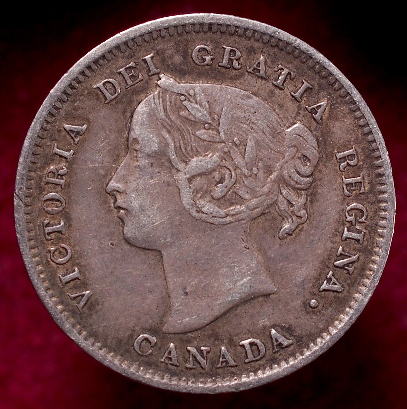 Canada 5 Cents 1899 - Queen Victoria (N2604)