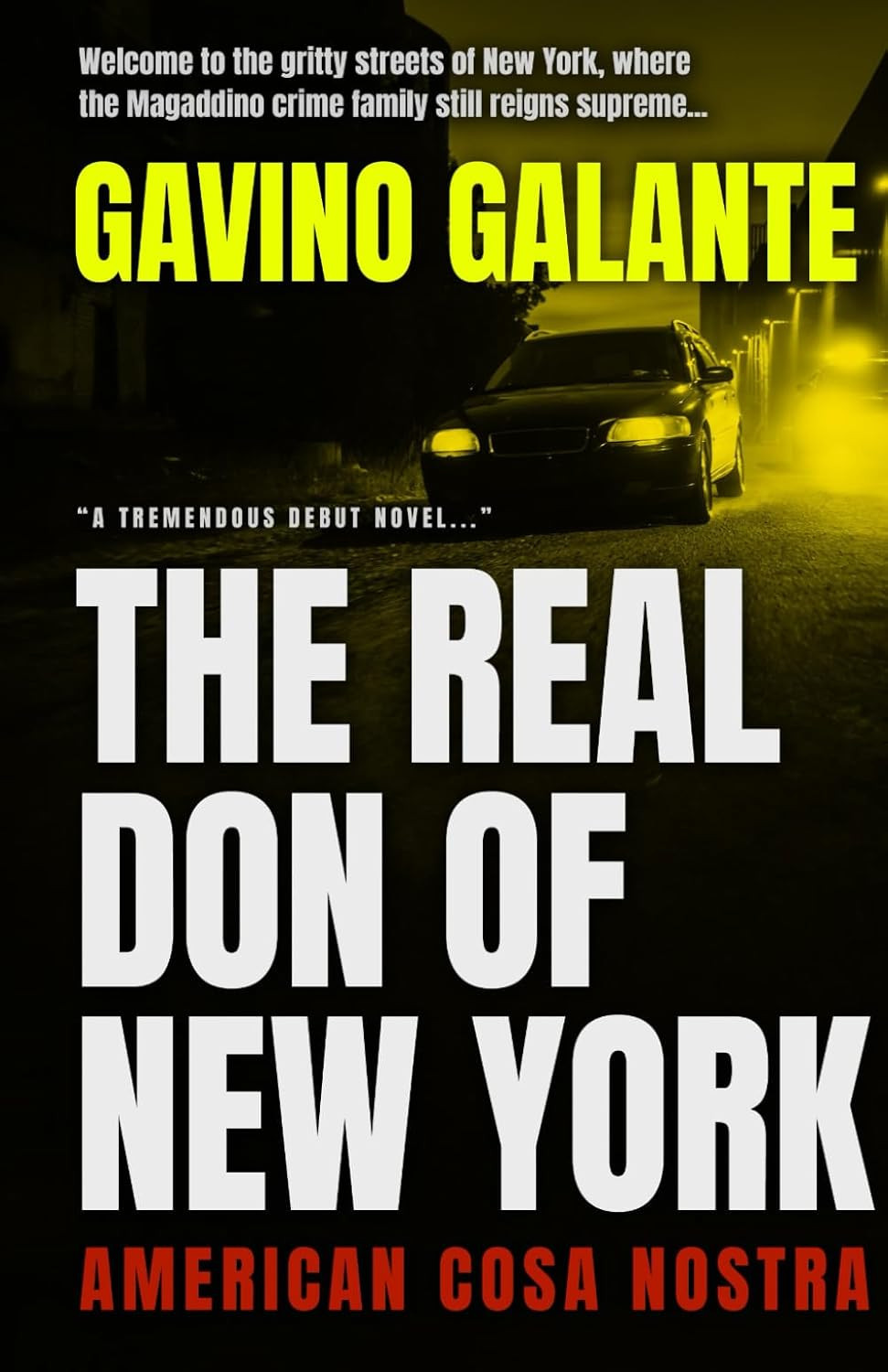 The Real Don of New York: An American Cosa Nostra Thriller "Best Crime Novel of