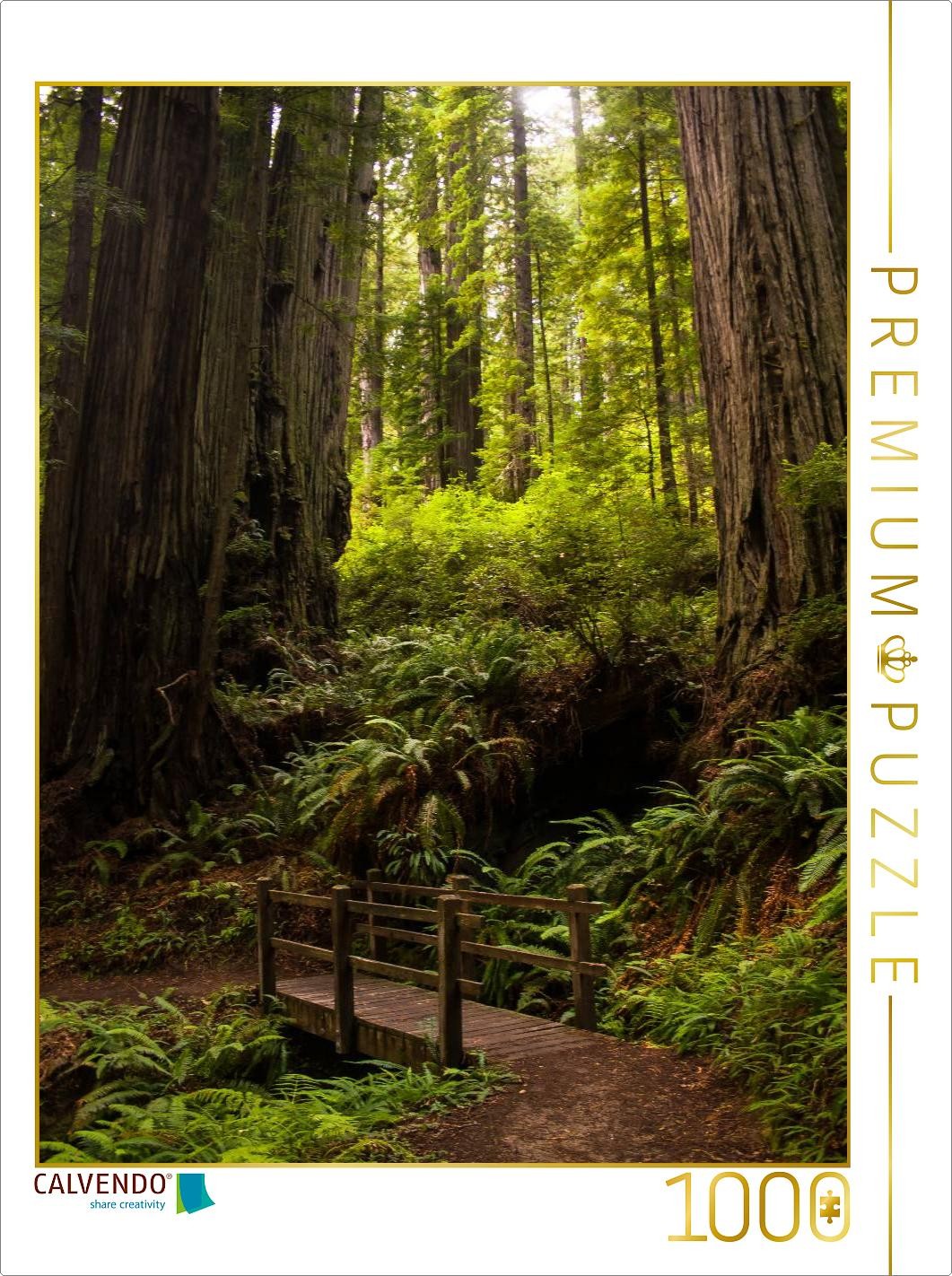 CALVENDO Puzzle Redwood National and States Park | 1000 Teile Lege-Größe 64x48cm