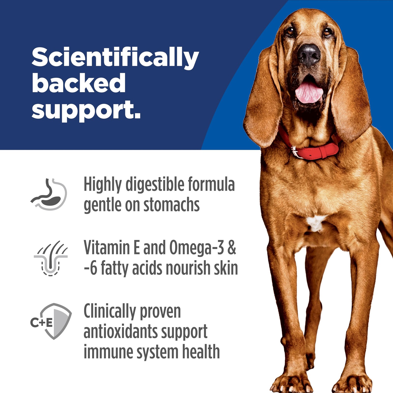 Hill's Science Diet Sensitive Stomach & Sensitive Skin Large Breed Adult Dry Dog
