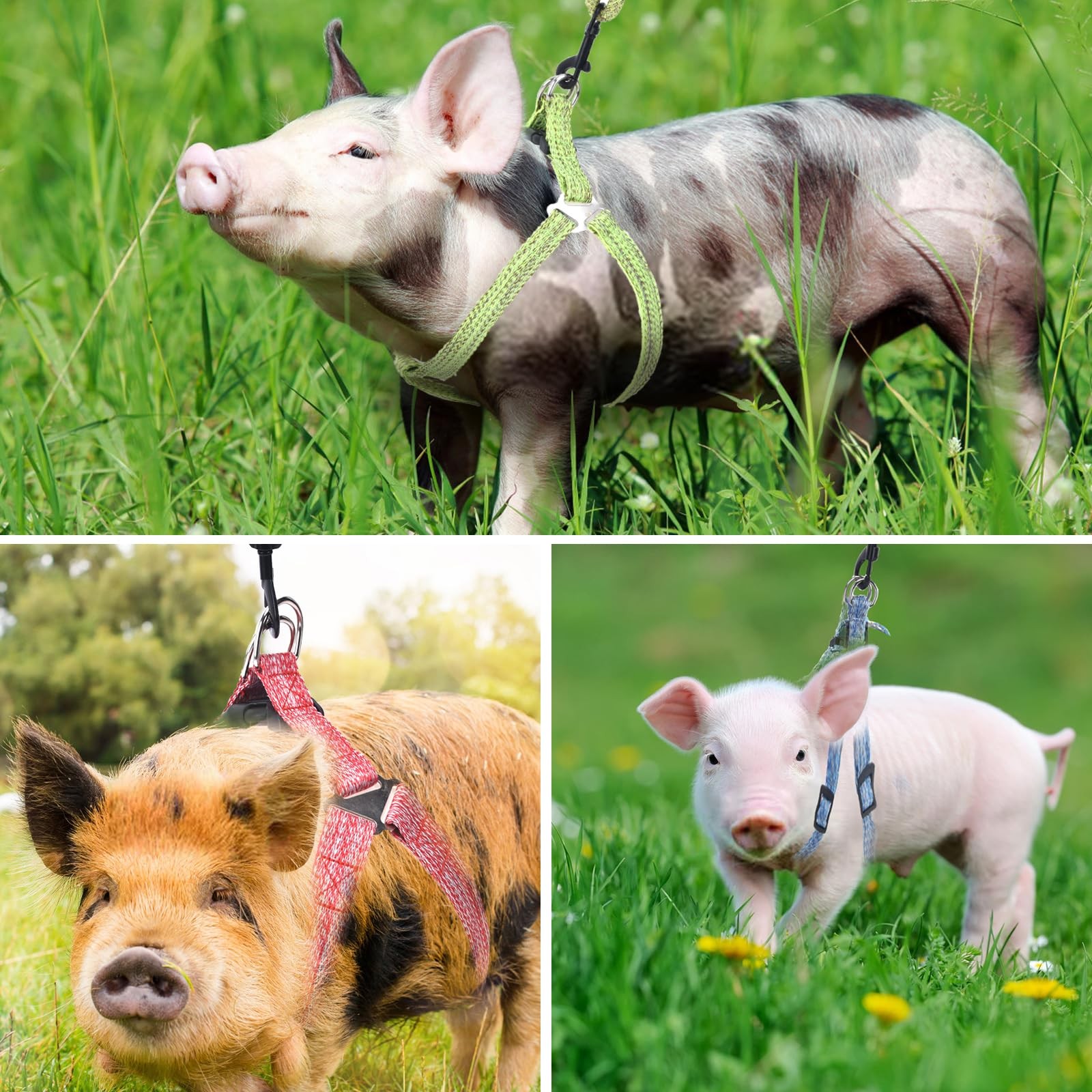 Mini Pig Harness, Adjustable Small Harness with Leash Infinity S, Pink