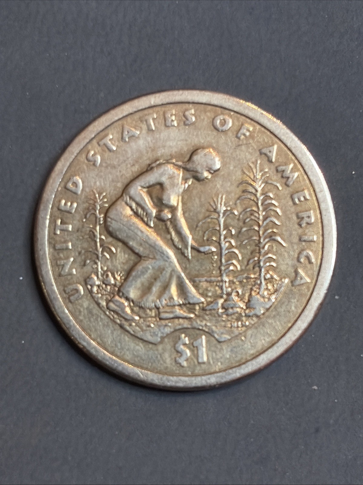 USA Native American Dollar - Planting Crops, 2009-S Proof.