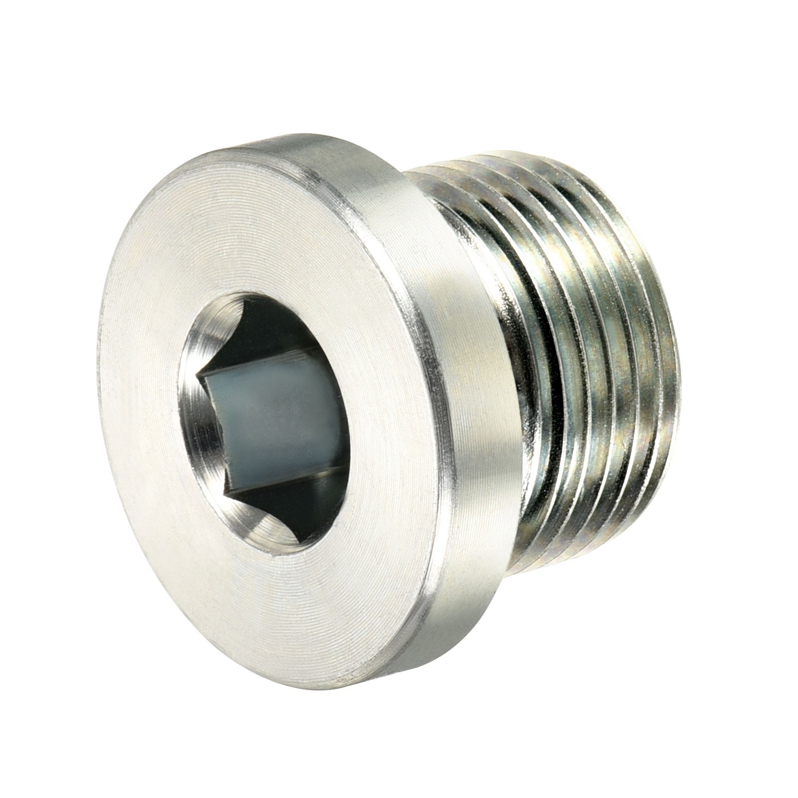 Pipe Fitting Hex Head Plug with Seal Ring, for Terminate Ends (M20x1.5)
