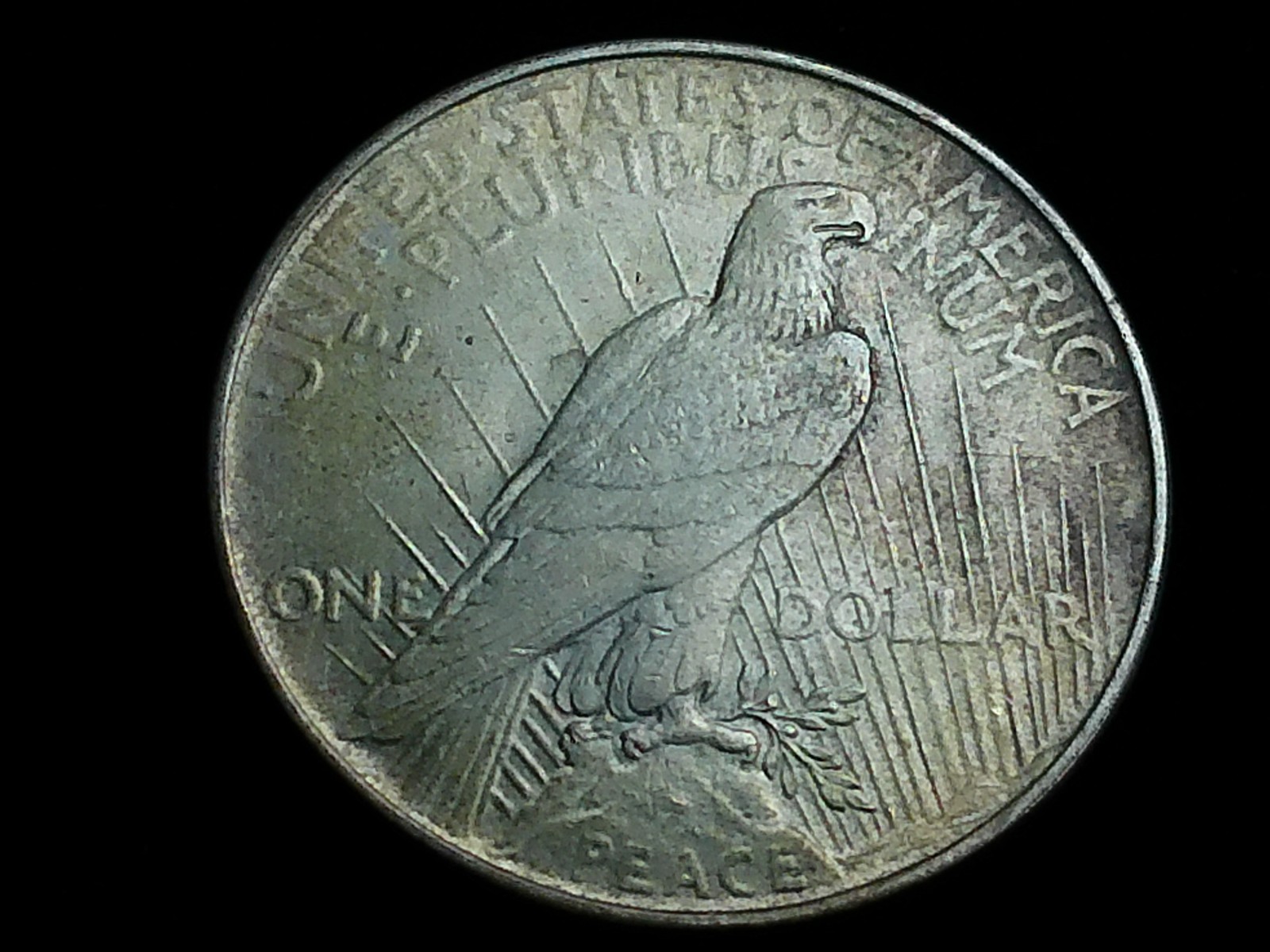 Raw 1922 Peace Silver Dollar - Philadelphia