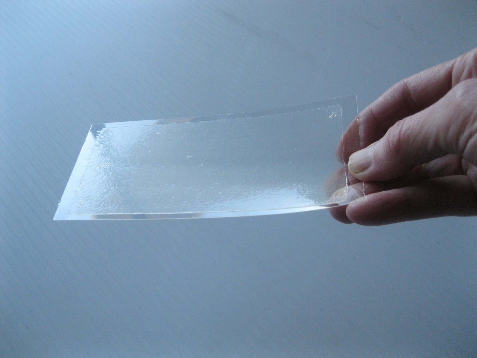 8 pk Fly Trap / Strip / Tray. Window / Floor. Catch flying, crawling insects