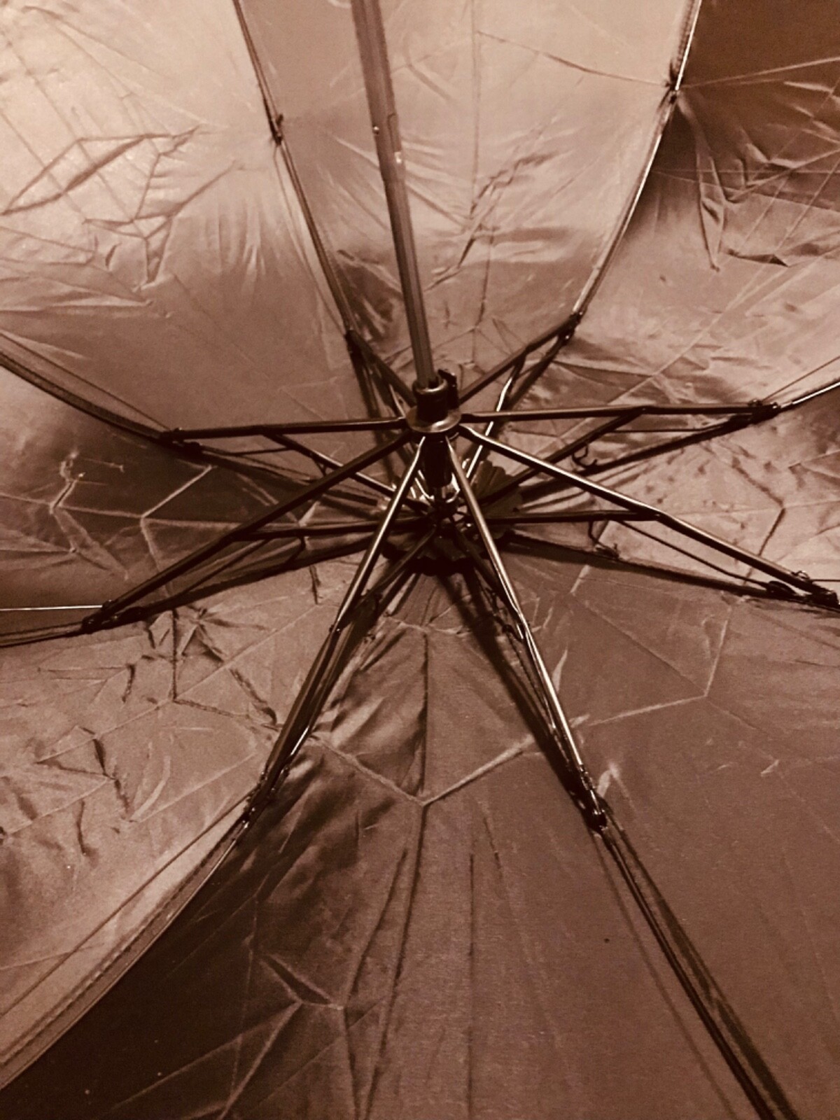black polyester compact travel umbrella with cover, new