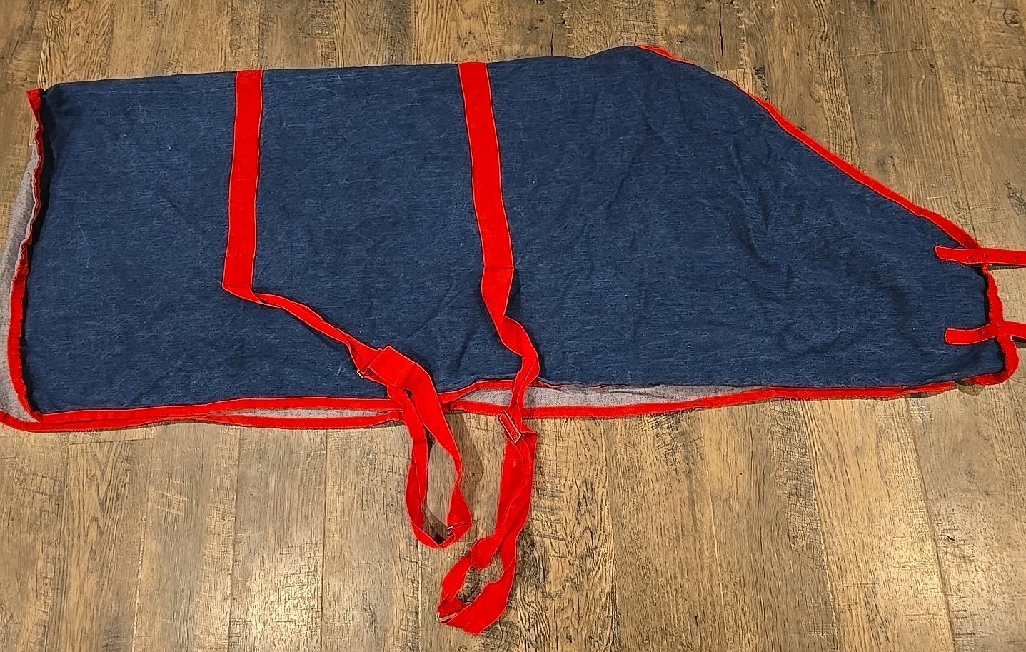horse blanket 68