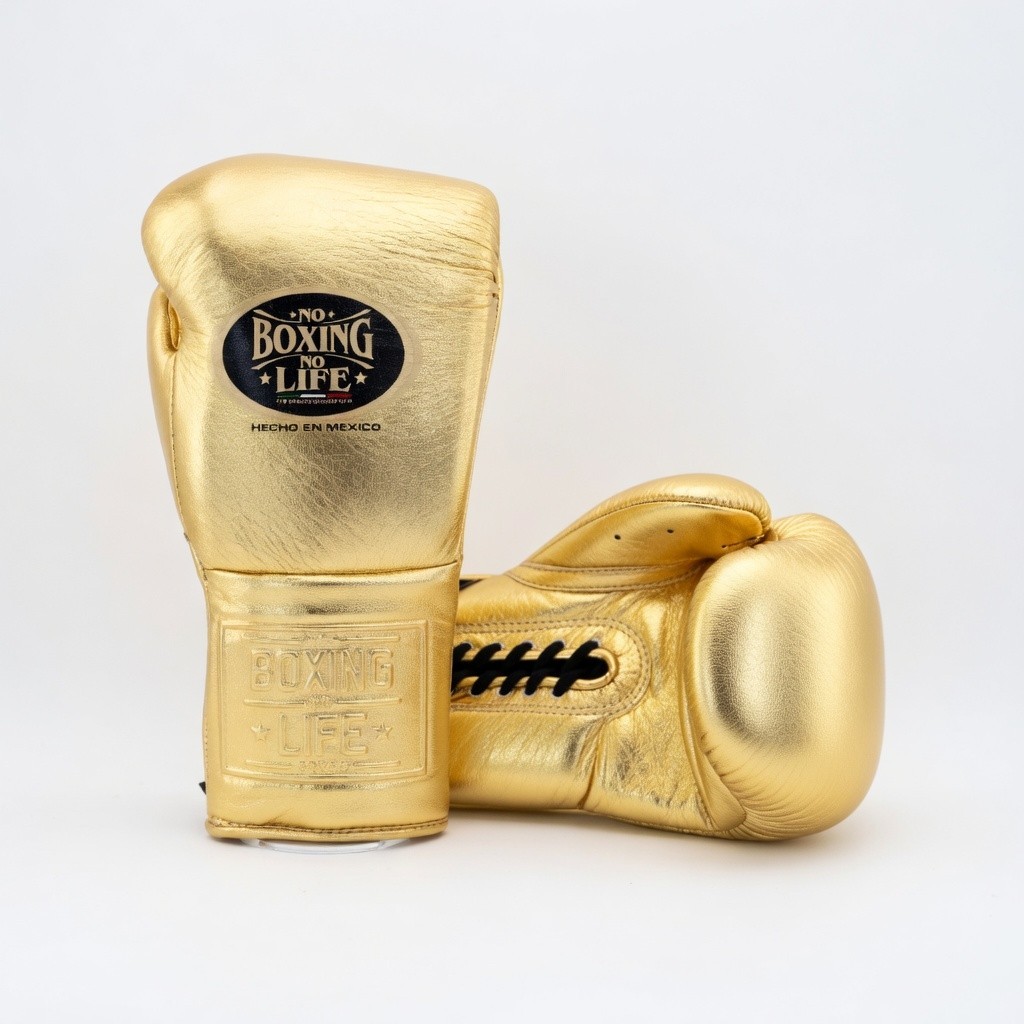 No Boxing No Life Boxing Gloves Pro Training Sparring winning boxing gloves gran