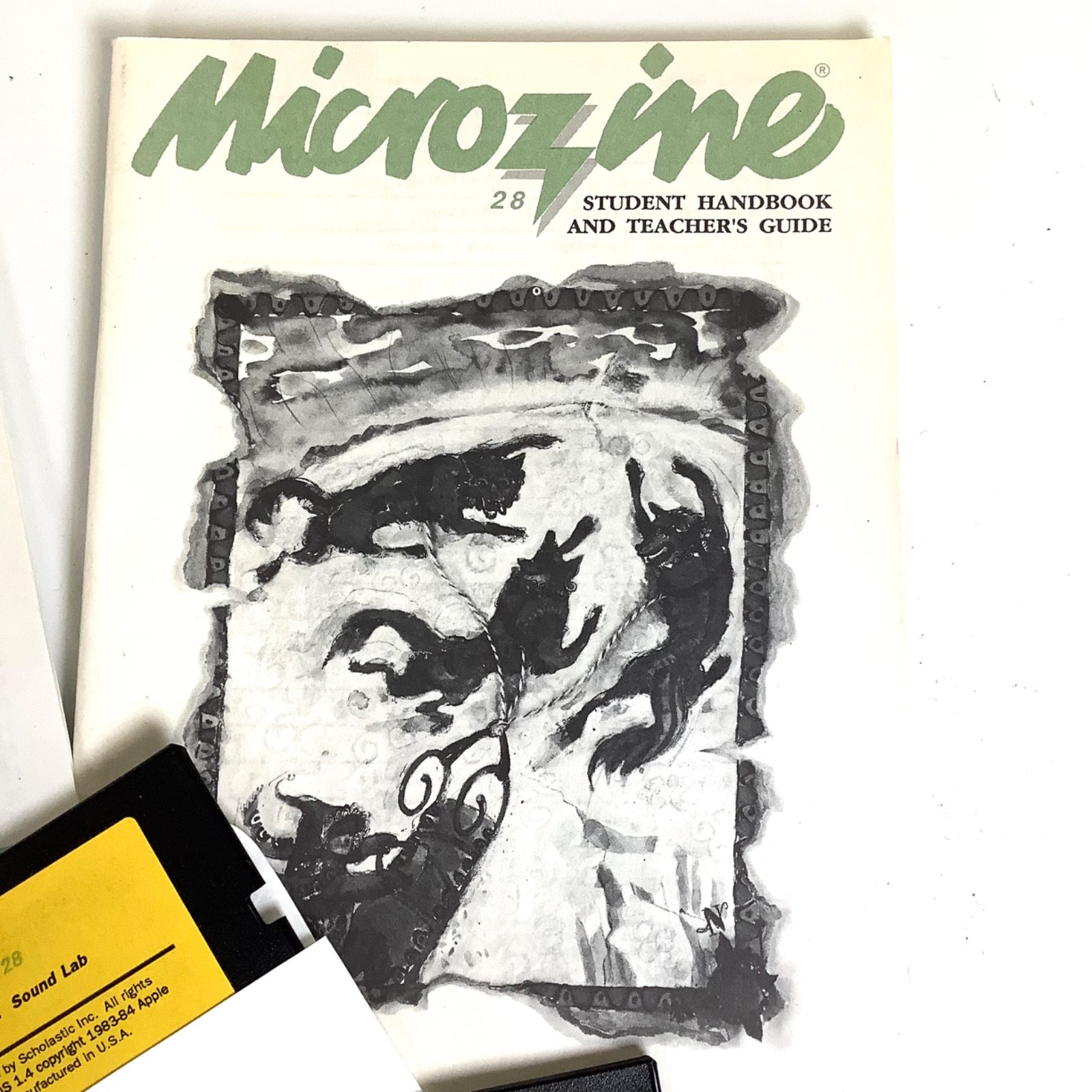 Scholastic Microzine Apple II Software Floppy Disks Classroom Series UNTESTED