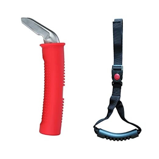 Car Auto Cane and Standing Aid Safety Handle 1 Red and Black