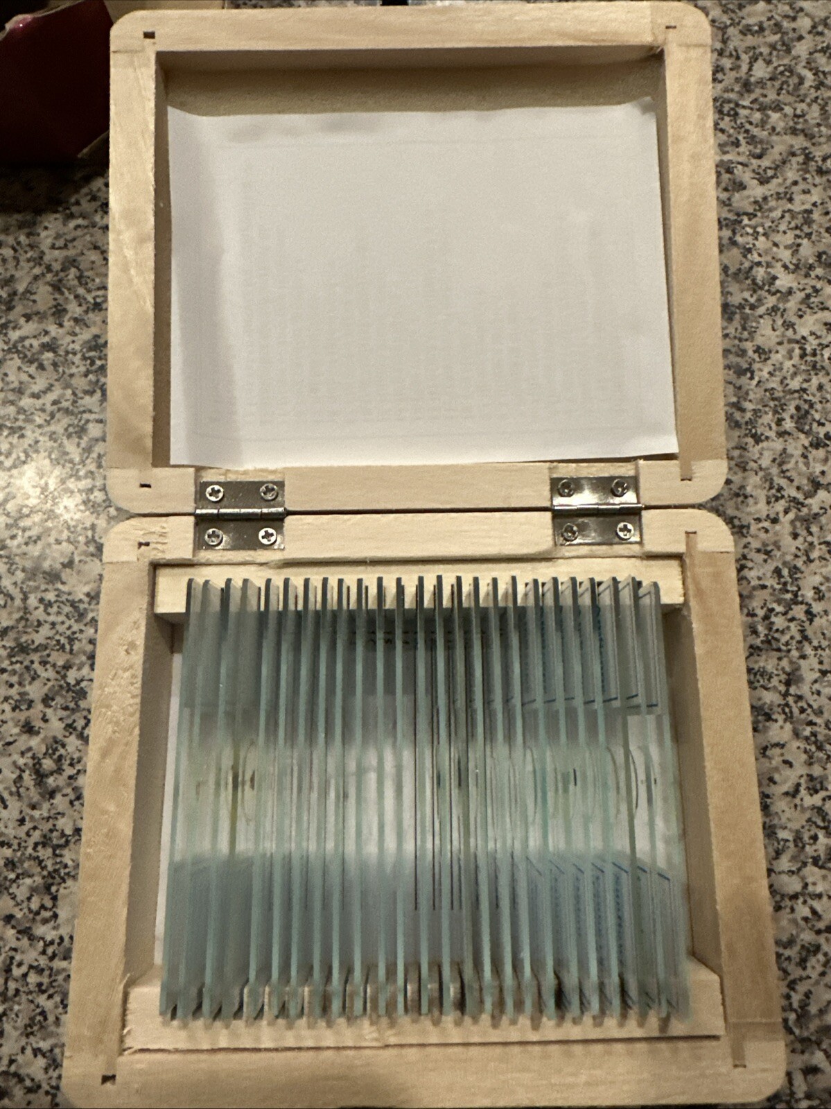 Biology 25 Prepared Microscope Slides