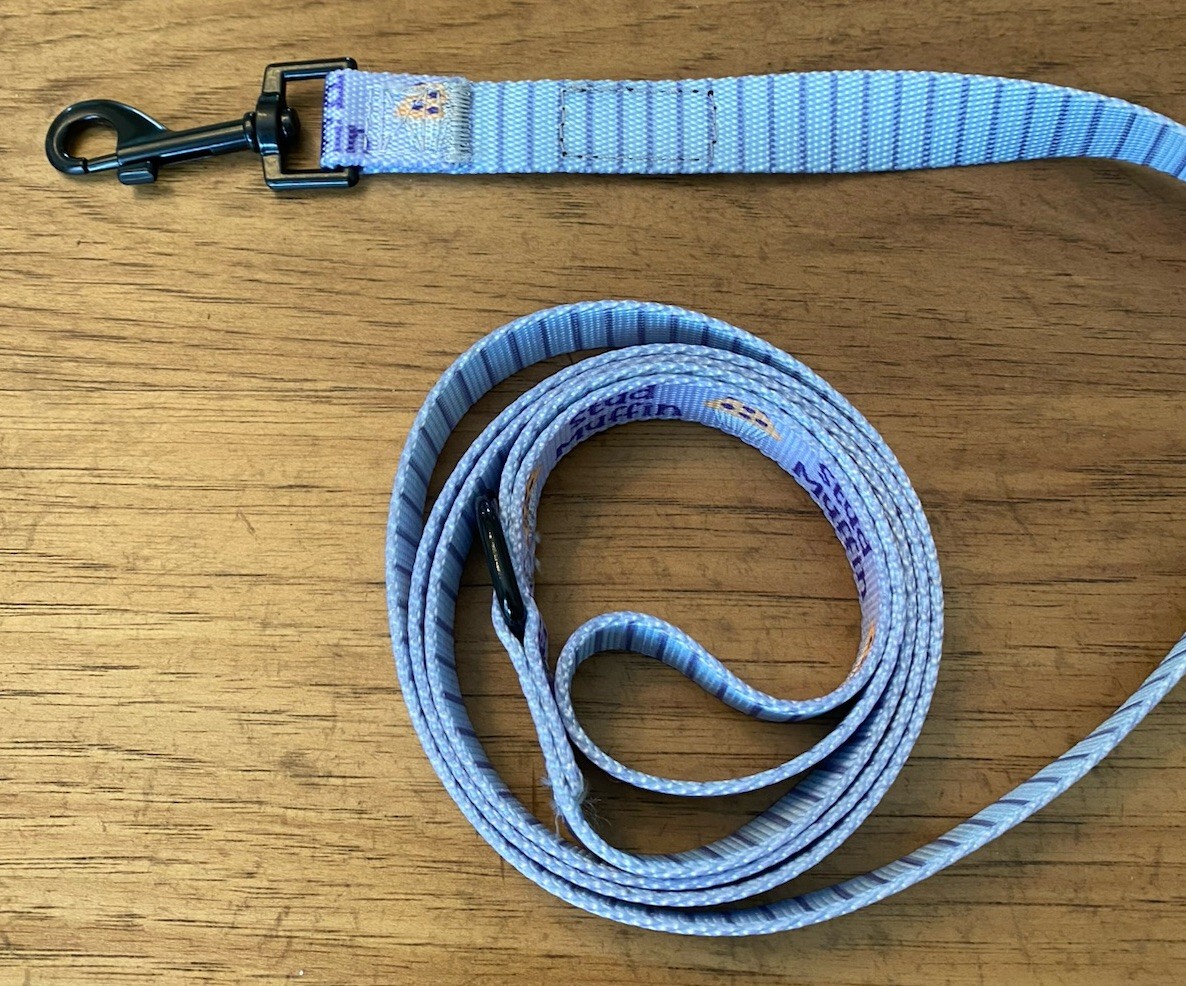 Dog Leash ‘Stud Muffin’ 59” New