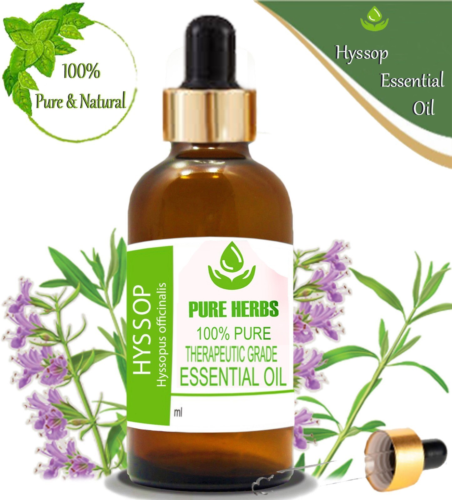 Pure Herbs Hyssop 100% Pure & Natural Hyssopus Essential Oil kp817