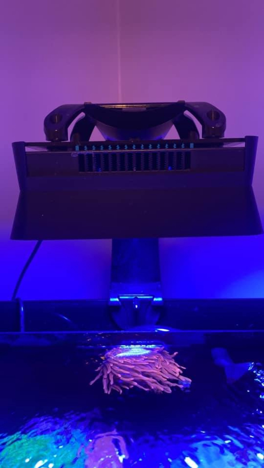 Ecotech XR15 Shade