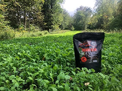 Premium Blend - Select Seed Blends - 5 lb Bag